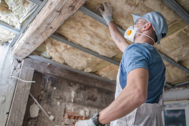 Best Local Insulation Services  in Grayson, CA